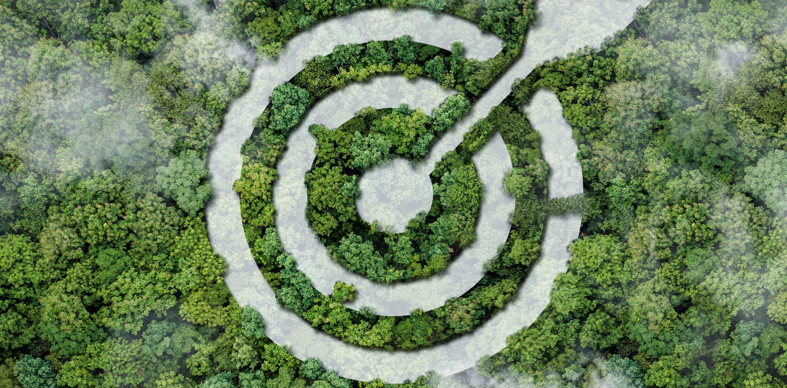 Transition écologique : 60 solutions inspirantes pour agir dès aujourd&rsquo;hui !