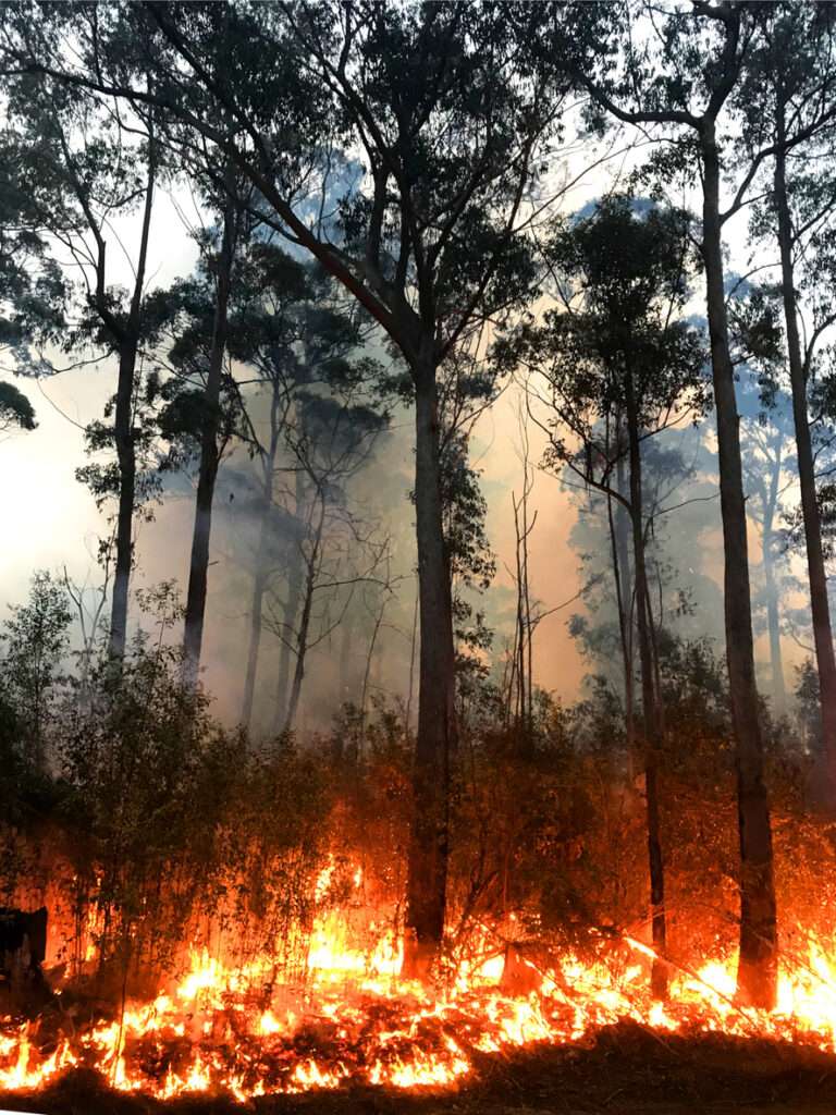 Incendies : l&rsquo;urgence écologique est aussi une urgence de solidarité